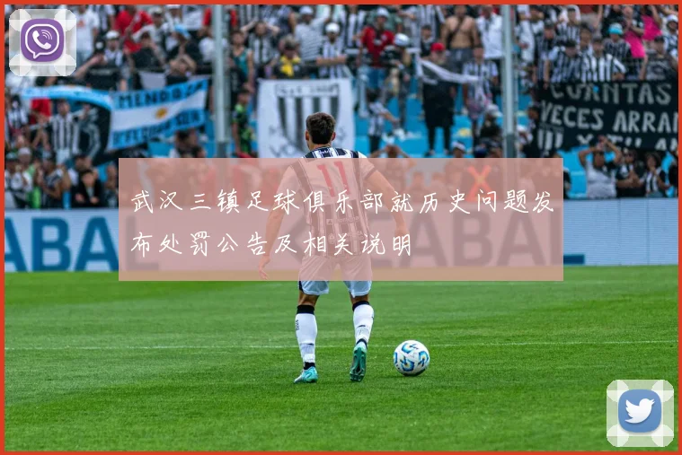 武汉三镇足球俱乐部就历史问题发布处罚公告及相关说明