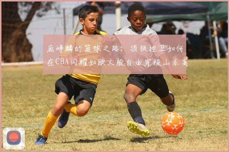 庞峥麟的篮球之路：顶级控卫如何在CBA闪耀如欧文般自由穿梭山东高速