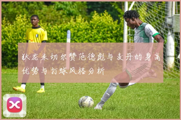 狄龙米切尔赞范德彪与麦丹的身高优势与打球风格分析